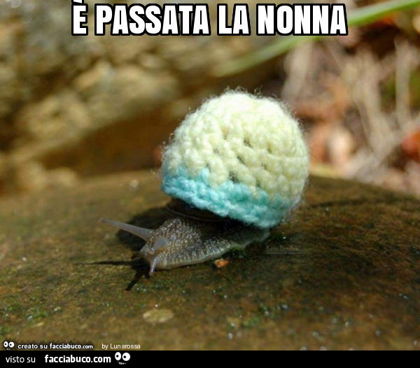 È passata la nonna