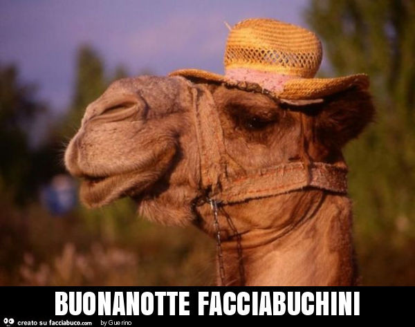Buonanotte facciabuchini