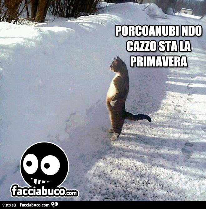 Porcoanubi ndo cazzo sta la primavera
