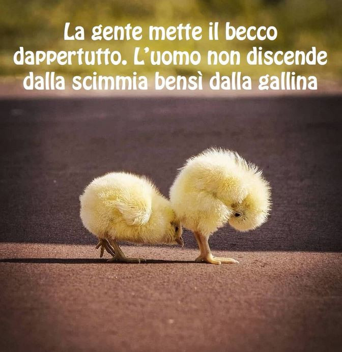 La gente mette il becco dappertutto