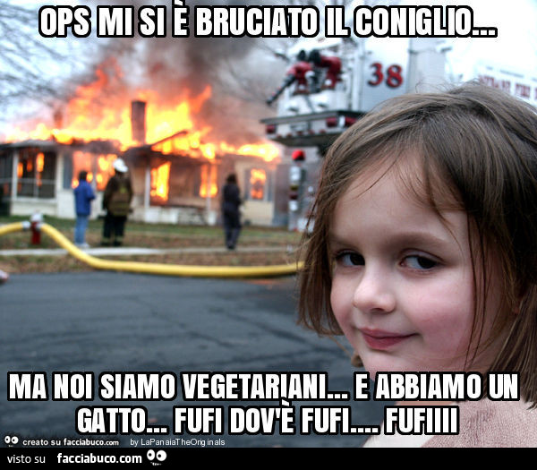 Ops mi si è bruciato il coniglio… ma noi siamo vegetariani… e abbiamo un gatto… fufi dov'è fufi… fufiiii