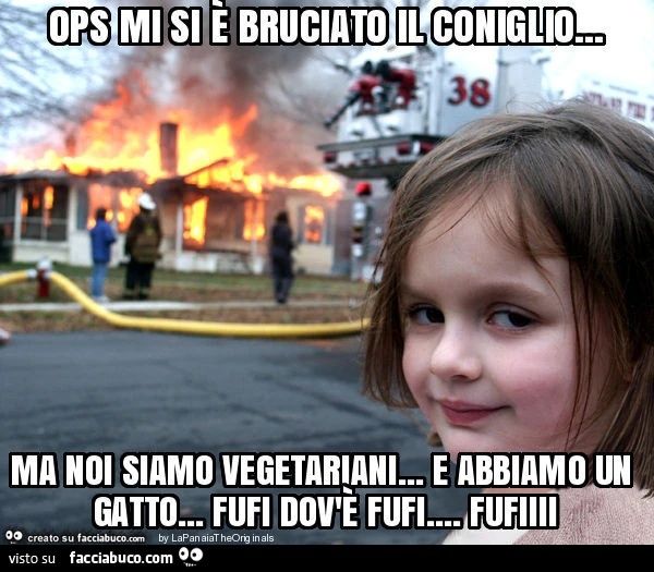 Ops mi si è bruciato il coniglio&hellip; ma noi siamo vegetariani&hellip; e abbiamo un gatto&hellip; fufi dov'è fufi&hellip; fufiiii