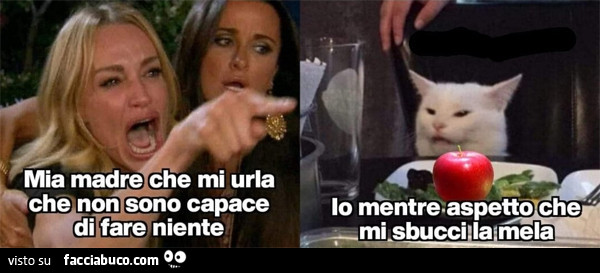 Mia madre che mi urla che non sono capace di fare niente. Io mentre aspetto che mi sbucci la mela