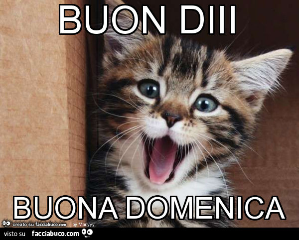 Buon diii buona domenica - Facciabuco.com