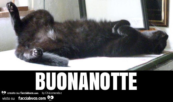 Buonanotte