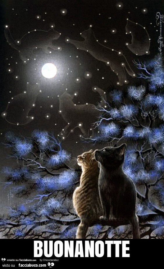 Buonanotte