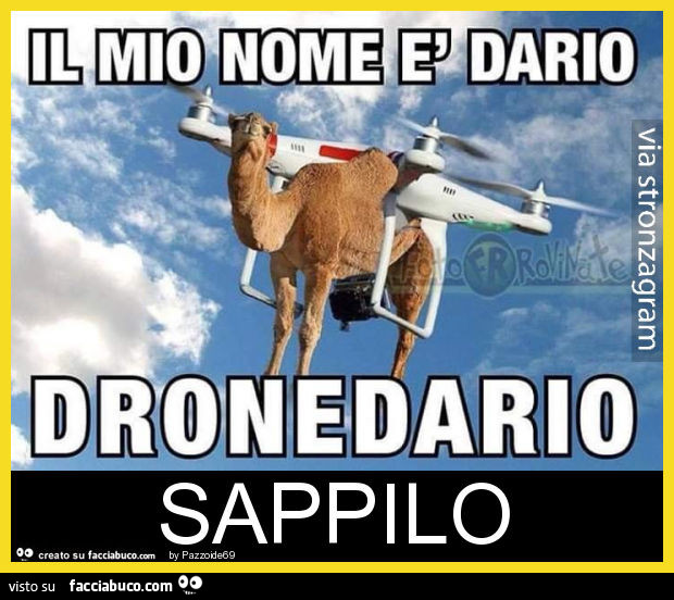 Sappilo