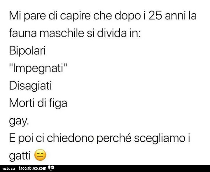 Mi pare di capire che dopo i 25 anni la fauna maschile si divida in: bipolari impegnati disagiati morti di figa gay e poi ci chiedono perché scegliamo i gatti