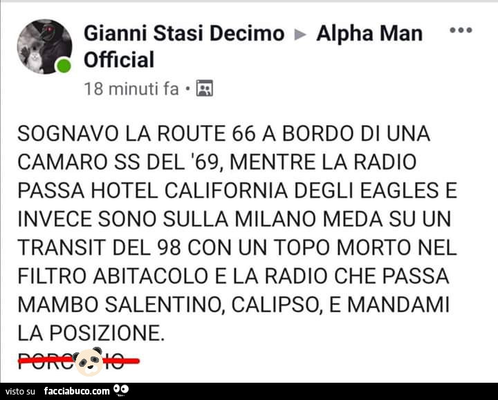 Sognavo la route 66 a bordo di una camaro ss del '69, mentre la radio passa hotel california degli eagles e invece sono sulla milano meda su un transit del 98 con un topo morto nel filtro abitacolo e la radio che passa mambo salentino