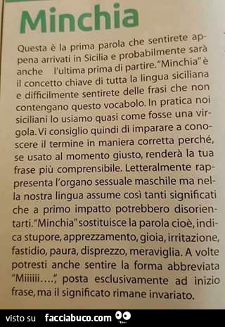 Minchia. Questa è la prima parola che sentirete appena arrivati in sicilia e probabilmente sarà anche l'ultima prima di partire. Minchia è il concetto chiave di tutta la lingua siciliana e difficilmente sentirete delle frasi che non contengano questo