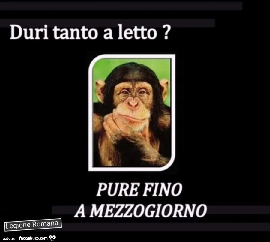 Duri tanto a letto? Pure fino a mezzogiorno
