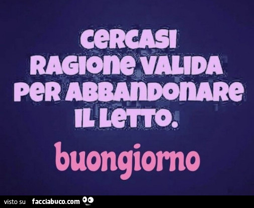 Cercasi ragione valida per abbandonare il letto. Buongiorno