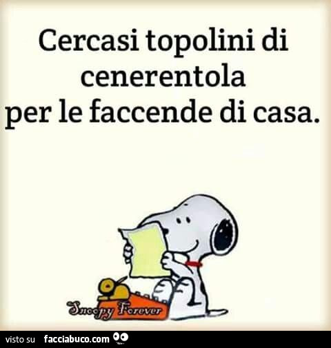 Cercasi topolini di cenerentola per le faccende di casa