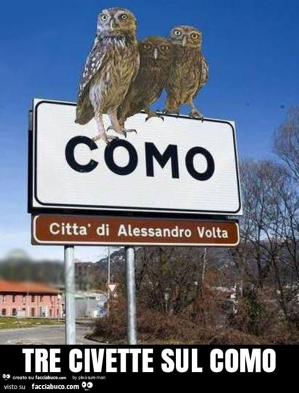 Tre civette sul como