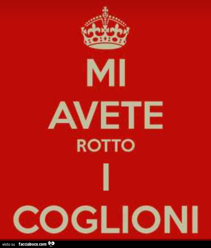 Mi avete rotto i coglioni