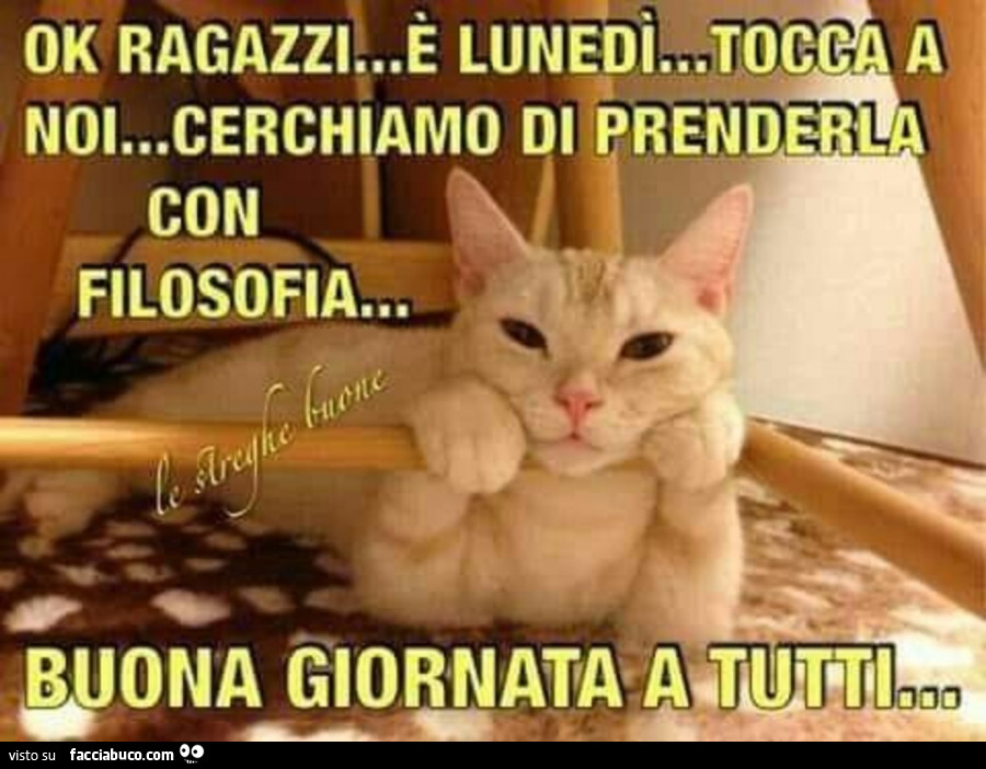 Ok ragazzi… è lunedì… tocca a noi… cerchiamo di prenderla con filosofia. Buona giornata a tutti