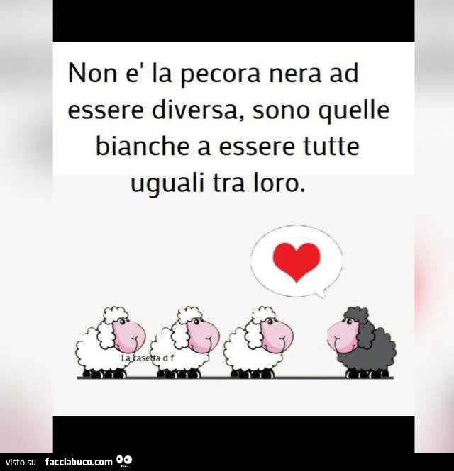 Non è la pecora nera ad essere diversa, sono quelle bianche a essere tutte uguali tra loro