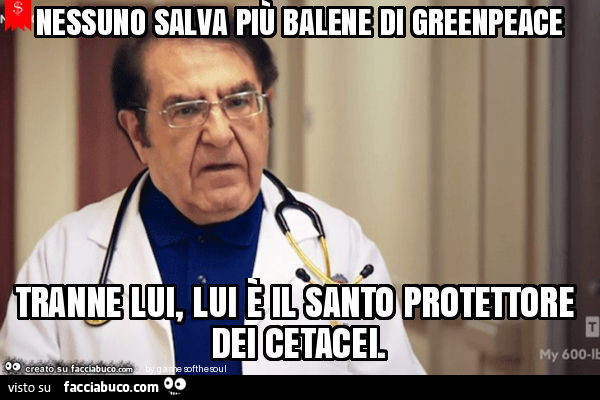 Nessuno salva più balene di greenpeace tranne lui, lui è il santo protettore dei cetacei