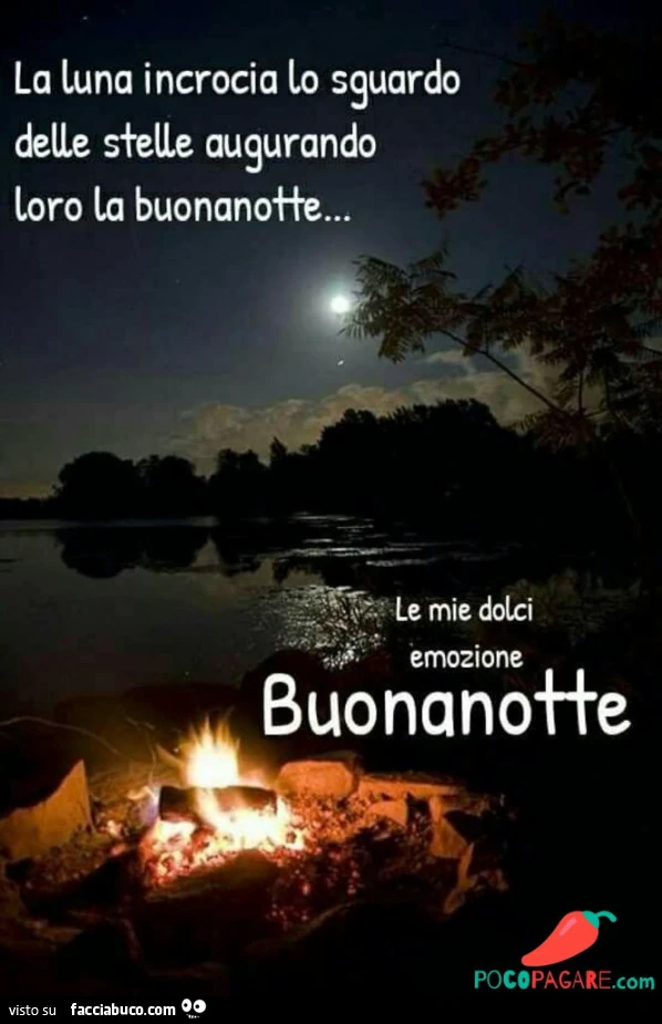 La luna incrocia lo sguardo delle stelle augurando loro la buonanotte&hellip; le mie dolci emozione buonanotte