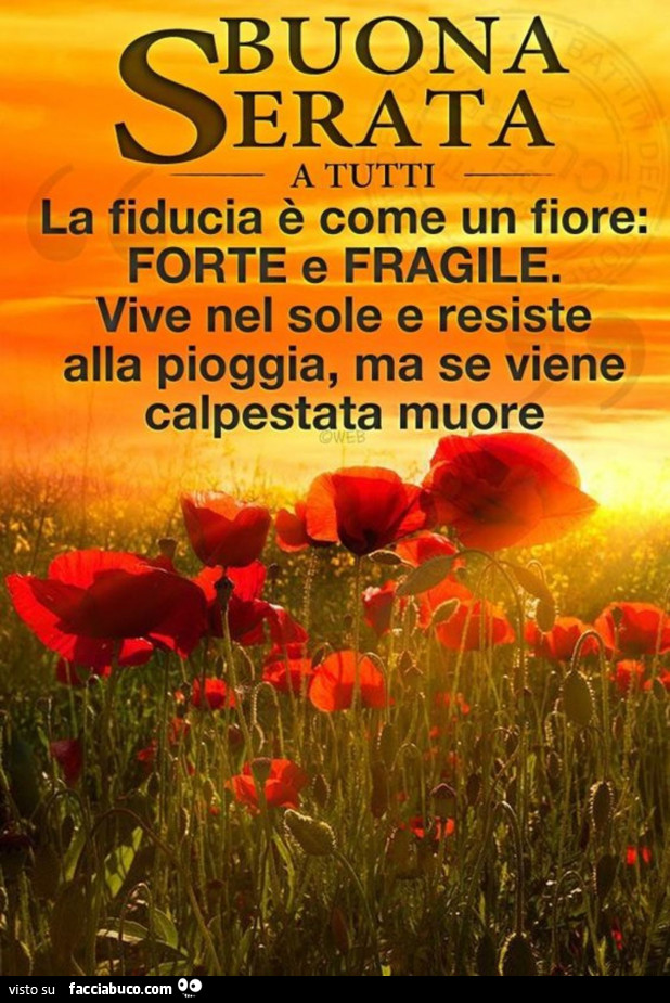 Buona serata a tutti la fiducia è come un fiore: forte e fragile. Vive nel sole e resiste alla pioggia, ma se viene calpestata muore