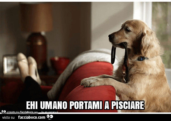 Ehi umano portami a pisciare