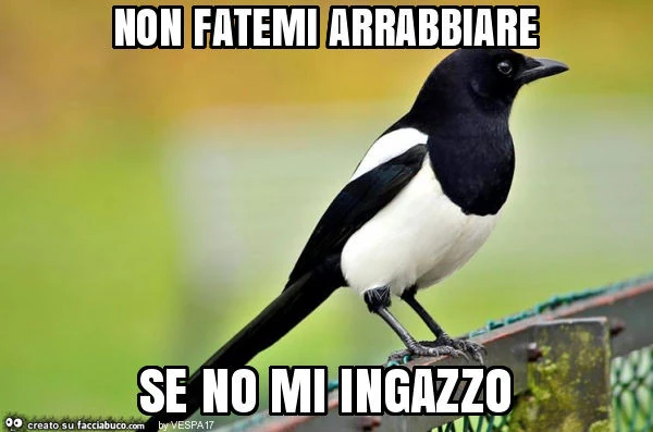 Non fatemi arrabbiare se no mi ingazzo