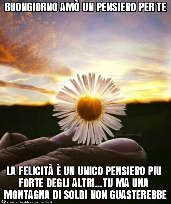 Buongiorno amò un pensiero per te la felicità è un unico pensiero piu forte degli altri… tu ma una montagna di soldi non guasterebbe