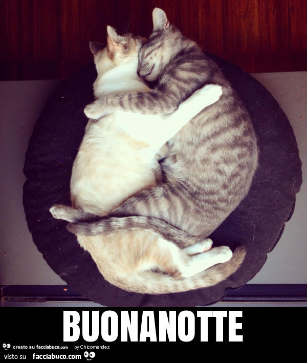 Buonanotte