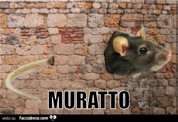 Muratto