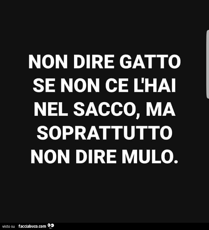 Non dire gatto se non ce l'hai nel sacco, ma soprattutto non dire mulo