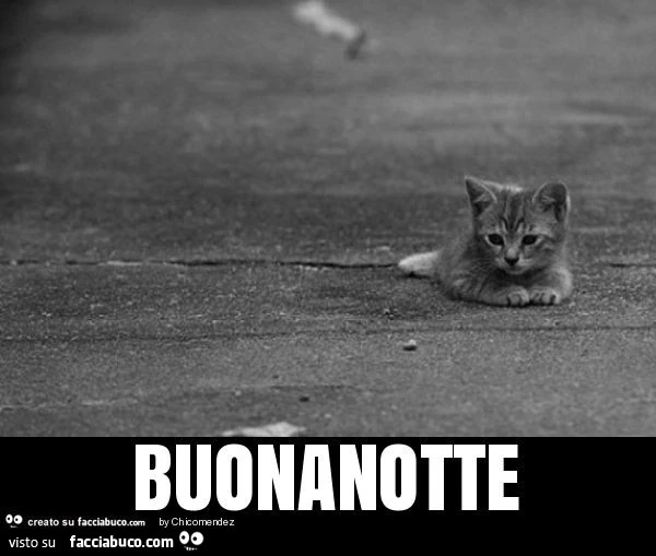 Buonanotte