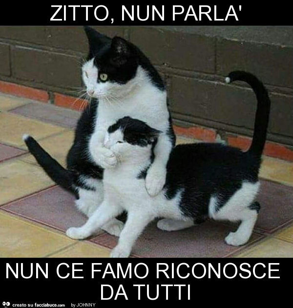 Zitto, nun parlà nun ce famo riconosce da tutti