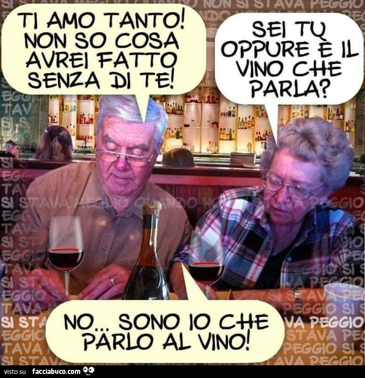 Ti amo tanto! Non so cosa avrei fatto senza di te! Sei tu oppure è il vino che parla? No sono io che parlo al vino