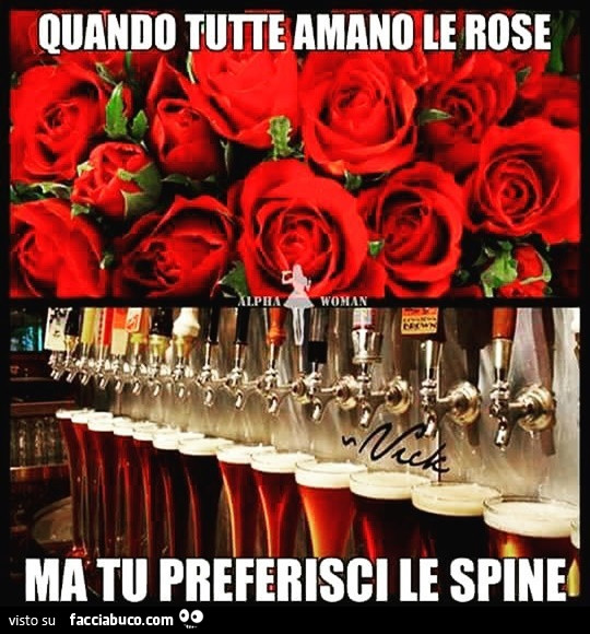 Quando tutte amano le rose ma tu preferisci le spine