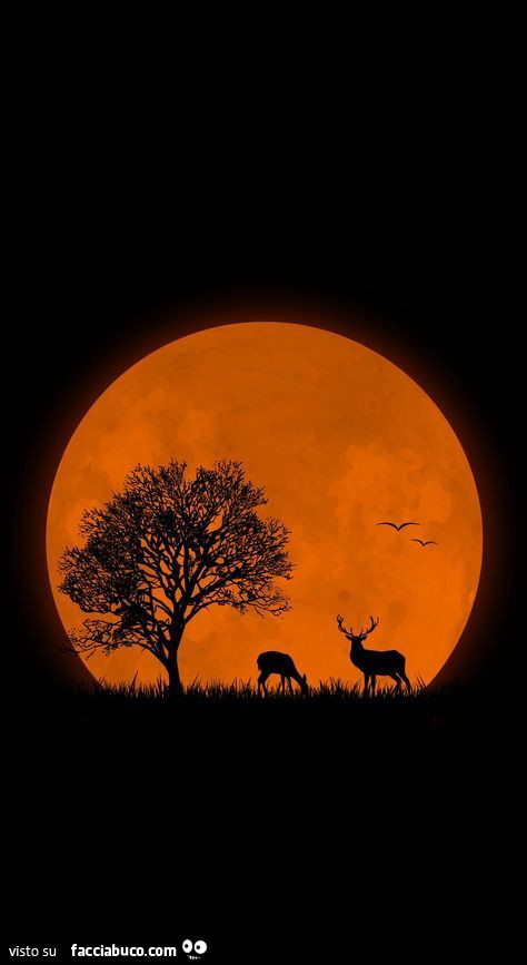 Luna rossa gigante in Africa