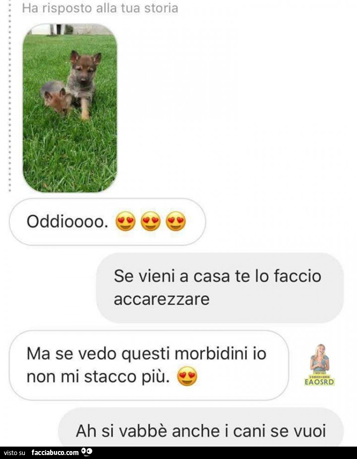 Oddioooo. Se vieni a casa te lo faccio accarezzare ma se vedo questi morbidini io non mi stacco più. Ah si vabbè anche i cani se vuoi