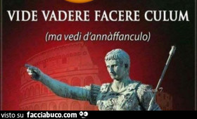 Vaccata