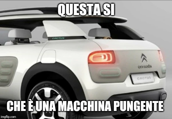 Vaccata
