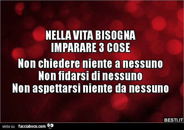 Nella vita bisogna imparare 3 cose non chiedere niente a nessuno non fidarsi di nessuno non aspettarsi niente da nessuno