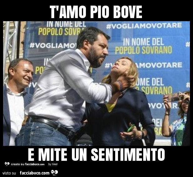 T'amo pio bove e mite un sentimento