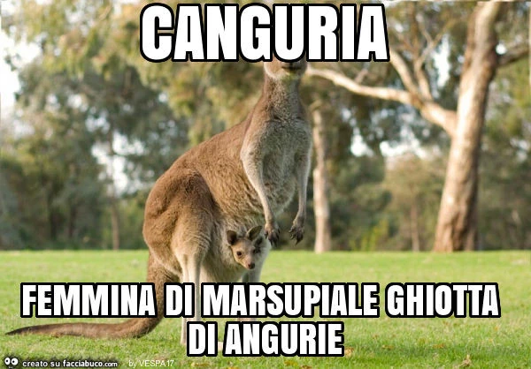 Canguria femmina di marsupiale ghiotta di angurie