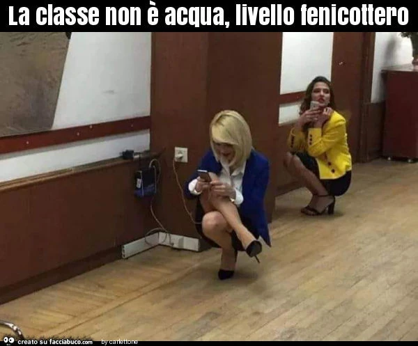 La classe non è acqua, livello fenicottero