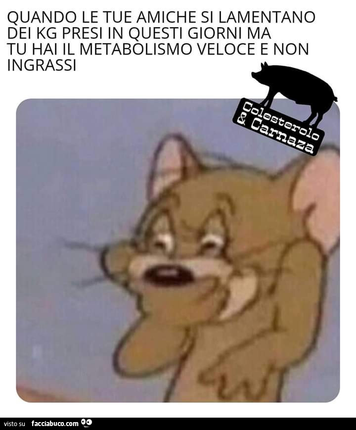 Tutti I Meme Su Tom E Jerry Facciabucocom
