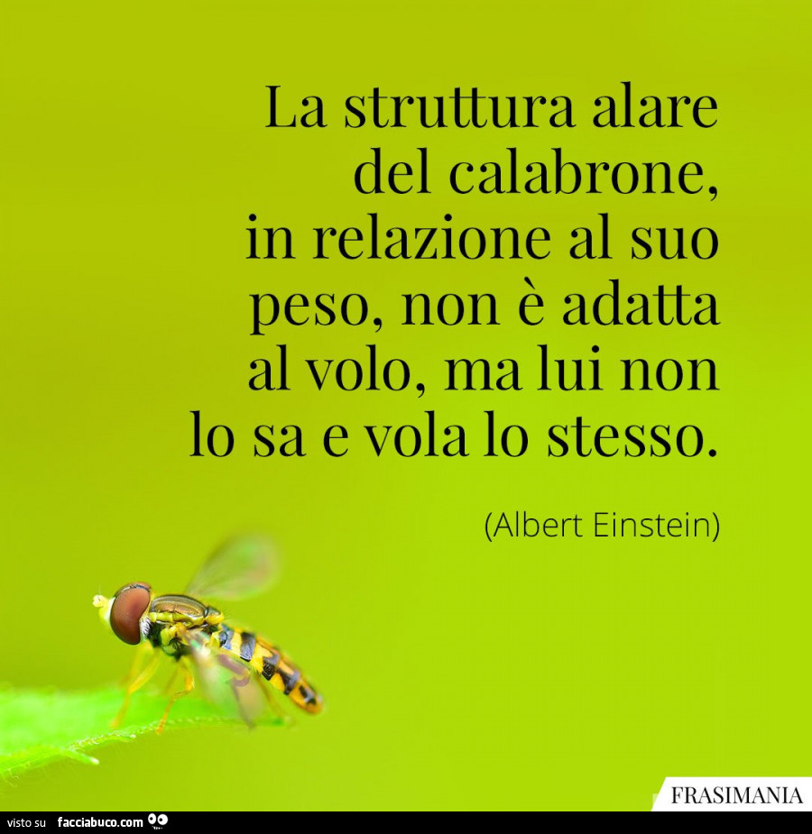 La struttura alare del calabrone, in relazione al suo peso, non è adatta al volo, ma lui non lo sa e vola lo stesso. Albert Einstein