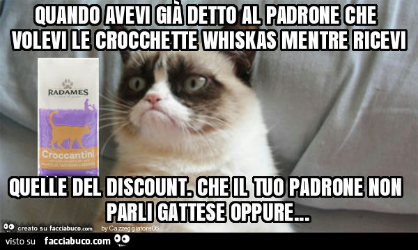 Quando avevi già detto al padrone che volevi le crocchette whiskas mentre ricevi quelle del discount. Che il tuo padrone non parli gattese oppure