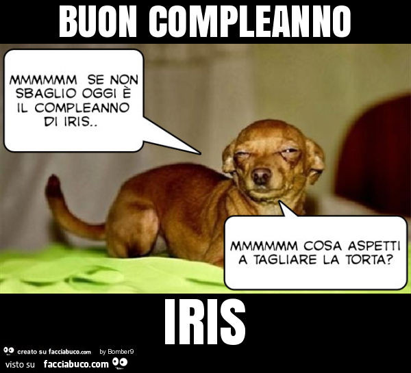 Buon compleanno iris