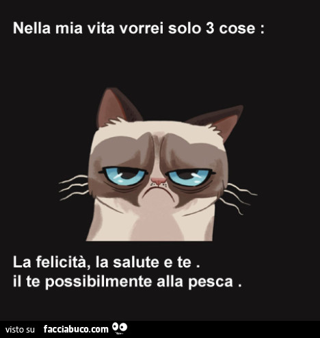 Nella mia vita vorrei solo 3 cose: la felicità, la salute e te. Il te possibilmente alla pesca