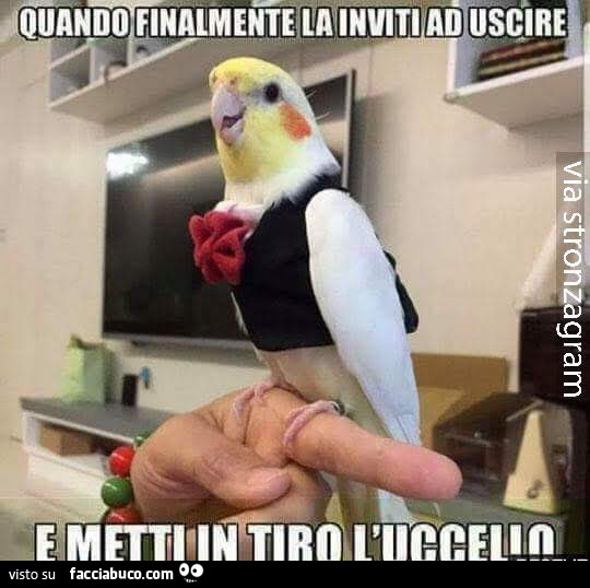 Quando finalmente la inviti ad uscire e metti in tiro l'uccello