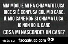 Mia moglie mi ha chiamato luca. Dice si è confusa col mio cane. Il mio cane non si chiama luca. Io non ho il cane cosa mi nasconde? Un cane?