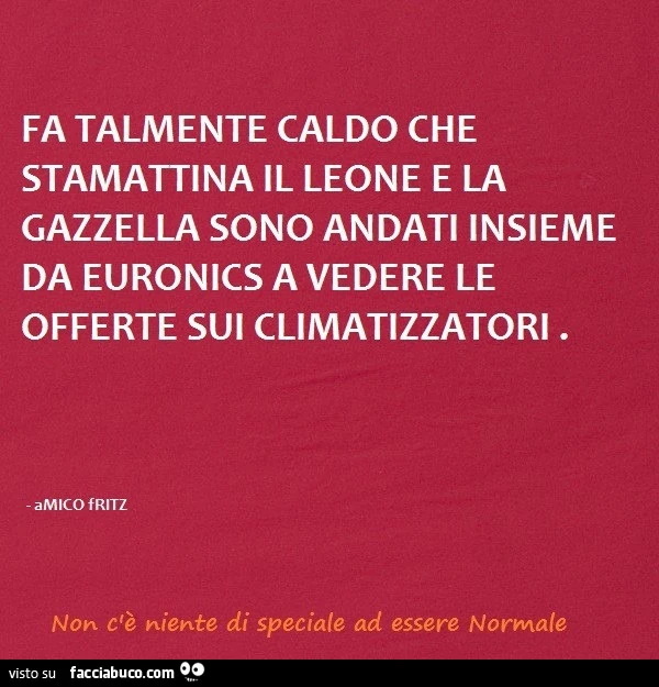 Fa talmente caldo che stamattina il leone e la gazzella sono andati insieme da euronics a vedere le offerte sui climatizzatori